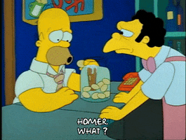 Season 1 Episode 13 GIF by The Simpsons