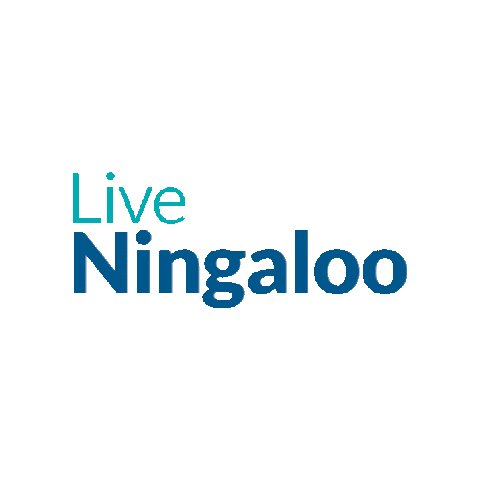 LiveNingaloo giphygifmaker humpback whale exmouth ningaloo Sticker