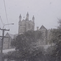 Unseasonal Snow and Freezing Temperatures Brought by Antarctic Air Hits Dunedin, New Zealand