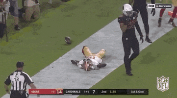 Regular Season Football GIF by NFL