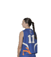 Damenbaskets basketball dbb dbb damenbaskets dbb lz lö Sticker