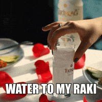 altinkadehadada cheers raki kıbrıs serefe GIF