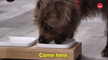 Let Me Scratch Your Butt