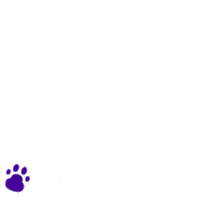 dog food wink Sticker