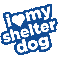 Cat Dog Sticker by Hill's Pet Nutrition