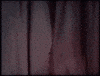 june allyson mustache GIF