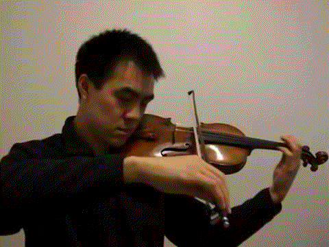 violin GIF