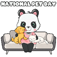 Cat Dog Sticker by PandaPals