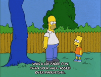 homer simpson episode 10 GIF