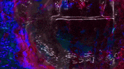 tough love teeth GIF by Pure Noise Records