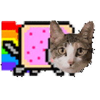 Cat Nu Sticker