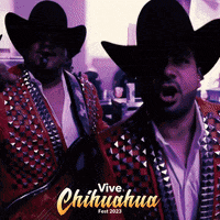 La Maquinaria Nortena Concert GIF by Azteca Records