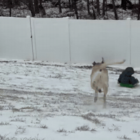 Snow Oops GIF by Respective