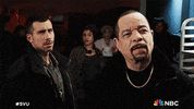 Excuse Me Nbc GIF by Law & Order