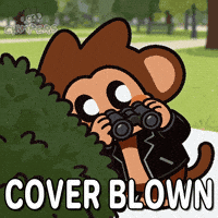 Watching Hide And Seek GIF by Chimpers