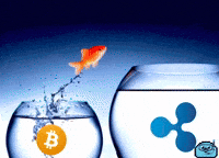 Memecoin Xrp GIF by $DROP