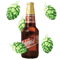 CervezaBohemia cerveza pilsner bohemia maridaje Sticker