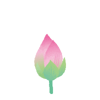 Flower 花 Sticker