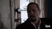 Law And Order Svu GIF by ION