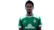 high five gebre selassie Sticker by SV Werder Bremen