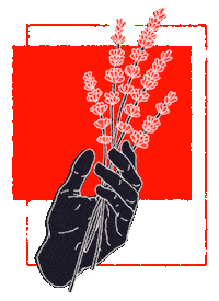 Illustration Flower Sticker