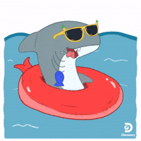 Shark Week Summer
