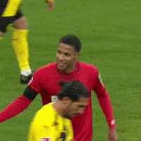 1 Fc Cologne Football GIF by 1. FC Köln