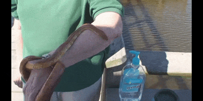 Water Wtf GIF by DIIMSA Stock