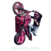 Motorcycle Stuntbike Sticker by Crazy Iron