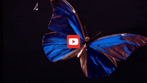 GIF by KQEDScience