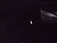 black and white vhs GIF by Charles Pieper