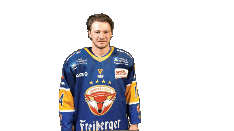 Anders Love Sticker by Lausitzer Füchse