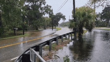 Florida's East Coast Swamped After Days of Heavy Rain