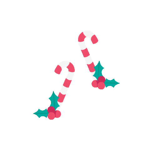 snfcc_official giphyupload christmas xmas holidays Sticker