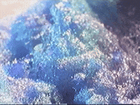 Footage Oaf GIF by jorgemariozuleta