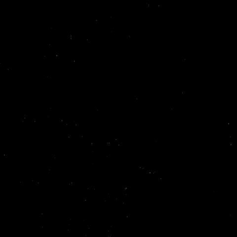 Goal Hockey GIF by Eisbären Berlin