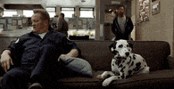 Chicago Fire Dog GIF by Wolf Entertainment