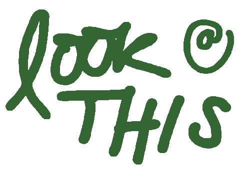 Bobcats Sticker by georgiacollegealumni