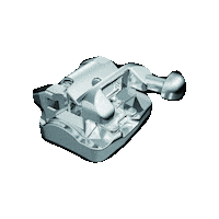 Happy Laugh Sticker by FORESTADENT