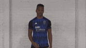 Soccer Logo GIF by San Jose Earthquakes