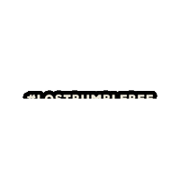 Lostbumblebee Sticker
