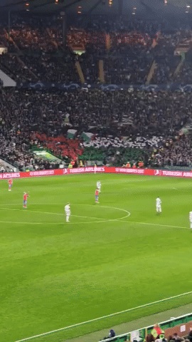 Palestinian Flags Fly at Celtic Match as Fans Defy Club Plea