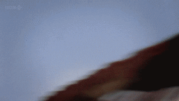 tokyo ca GIF