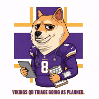 Shiba Inu Football GIF by Doge Pound