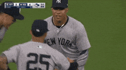 Major League Baseball Sport GIF by MLB