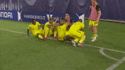 Celebrate Nashville Sc GIF by Major League Soccer