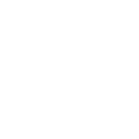 Stars Taurus Sticker