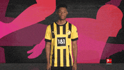 Football Sport GIF by Bundesliga