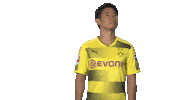 borussia dortmund what Sticker by Bundesliga