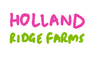 hollandridgefarms sunflower holland tulip tulips Sticker